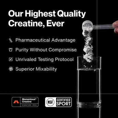 Creatine - 90 Servings